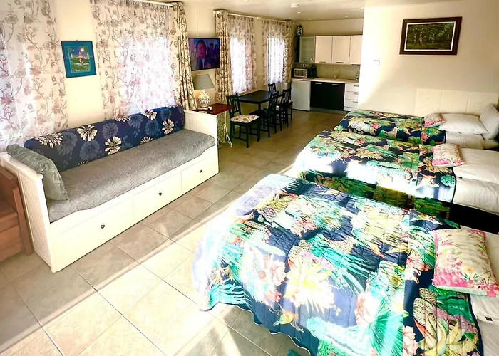 Rooi Bij De Knoptoren 住宿加早餐酒店 3*