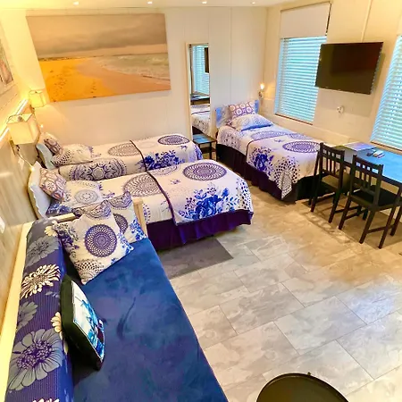 Rooi Bij De Knoptoren Sint-Oedenrode