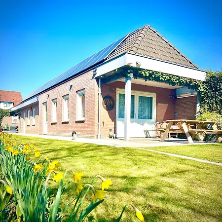 Rooi Bij De Knoptoren Sint-Oedenrode