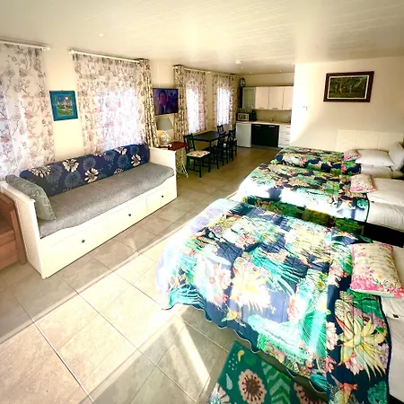 Rooi Bij De Knoptoren فندق مبيت وإفطار 3*